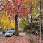 Hassan El Fad Instagram –  Montreal, Quebec