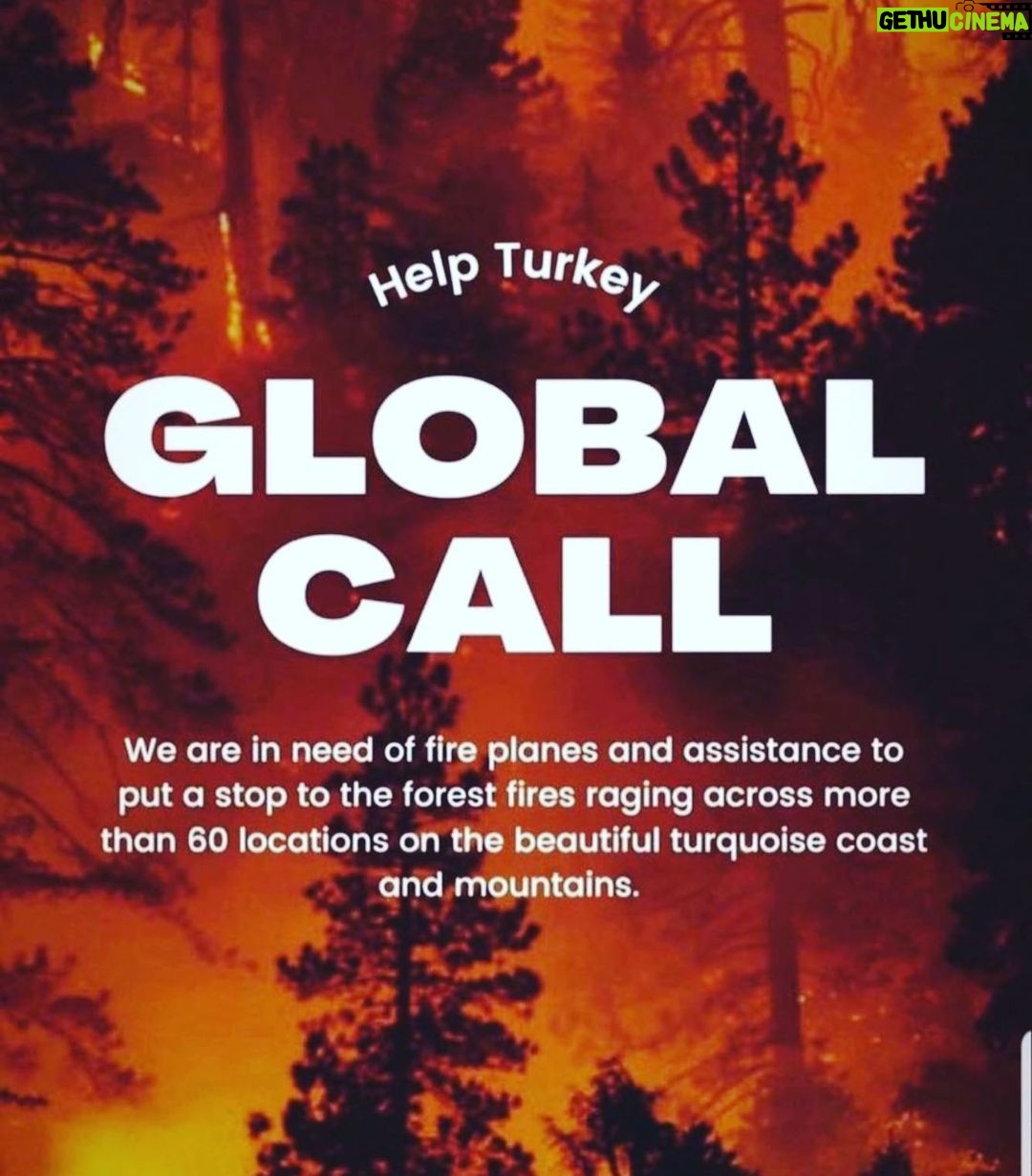 Hazal Kaya Instagram - 🚨I am calling all the countries who can help us. We are perished and devastated with the total 112 fires. The ones that we can’t stop are still going so strong. We dont have enough fire fighting planes to stop it. We lost 8 people, so many animals and our forests. Please help us!!!!! We need planes urgently. We only have 1 world. #helpTurkey @unitednations @eucouncil 🚨Bize yardım edebilecek tüm ülkelere seslenmek istiyorum. 112 adet yangın sebebiyle perişan ve harap olduk. Halen devam etmekte olan yangınlar çok güçlü. Bunları söndürmeye yetecek adette uçağımız yok. 8 insanı, sayısız hayvanı ve ormanlarımızı kaybettik. Lütfen bize yardım edin. Sadece 1 dünyamız var. #helpTurkey 🚨🚨🚨 Lütfen bu mesajı yayın. Bizim çok acil olarak dünya çapında sesimizi duyurmaya ve yardıma ihtiyacımız var. #havadanmüdahaleistiyoruz 🚨J'appelle tous les pays qui peuvent nous aider. Nous avons péri et dévasté avec les 112 incendies au total. Ceux que nous ne pouvons pas arrêter. Nous avons perdu 8 personnes, tant d'animaux et nos forêts. Aidez-nous s'il vous plaît. Nous avons besoin d'avions de toute urgence. Nous n'avons qu'un monde. 🚨Ich rufe alle Länder auf, die uns helfen können. Wir starben und verwüsteten mit insgesamt 112 Bränden. Die, die wir nicht aufhalten können. Wir haben 8 Menschen verloren, so viele Tiere und unsere Wälder. Bitte hilf uns. Wir brauchen dringend Flugzeuge. Wir haben nur eine Welt.