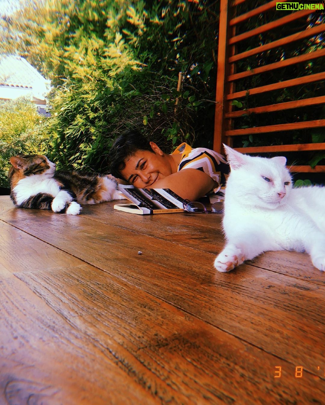 Hazal Kaya Instagram - Herhangi bir canlıyı yavrusu bilip karşılıksız bir sevgiyle besleyen,yanında olan,güvende hissettiren caanım kadınlar! Anneler günümüz kutlu olsun 🌸 Bu karşılıksız sevebilme becerimiz başımıza iş açmış hep,tuhaf beklentiler yaratmış.Kendimizden vazgeçmemiz beklenmiş,doğrusunu bu zannetmişiz,yok olurken var etmeye çalışıp çelişkimizde boğulmuşuz.Birbirimze el uzatmayı değil,dil uzatmayı öğretmişler bize karşılıksız sevmeyi bilmeyenler,varlığımızı bayılarak aldığımız bu şahane sorumluluğa indirgeyenler... Bugünü kutlarken dönüp kendimizi de tebrik edelim bütün imkansızlıklara rağmen sevmeye,sevmeyi öğretmeye devam ettiğimiz için!Şartlar çetin,biz de fena değiliz! 🌸🌸🌸 To all the women who make a creature feel unconditionally loved, safe, cared for and nurtured! Happy mothers day to all of us! Funny how this skill of loving unconditionally has actually cost us in weird ways and imposed bizarre expectations on us. Being expected to give up on ourselves, being somehow convinced this would be the 'right way', wrapped up in our own dilemma of the necessity to personally dissolve to be able to let another live. We've been taught to impinge on each other instead of reaching out, by the very mindset that reduces our existence to this unique responsibility we actually happen to gladly take. Let's take a look back and celebrate ourselves too while we celebrate this day, for we have insisted and on loving and passing this skill on too, despite the imposed! The conditions may be tough but guess who's tougher! #MothersDoTheImpossible @unfpa @unfpa_turkey
