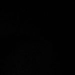 Hazal Kaya Instagram - #theshowmustbepaused #blacklivesmatter