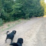 Hazar Motan Instagram -