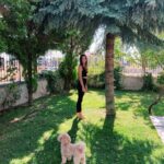Hazar Motan Instagram -