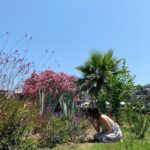 Hazar Motan Instagram -