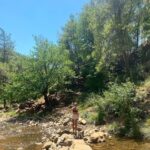 Hazar Motan Instagram -