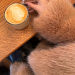 Heart Evangelista Instagram - Much needed 30 🕰️☕️ Milan, Italy