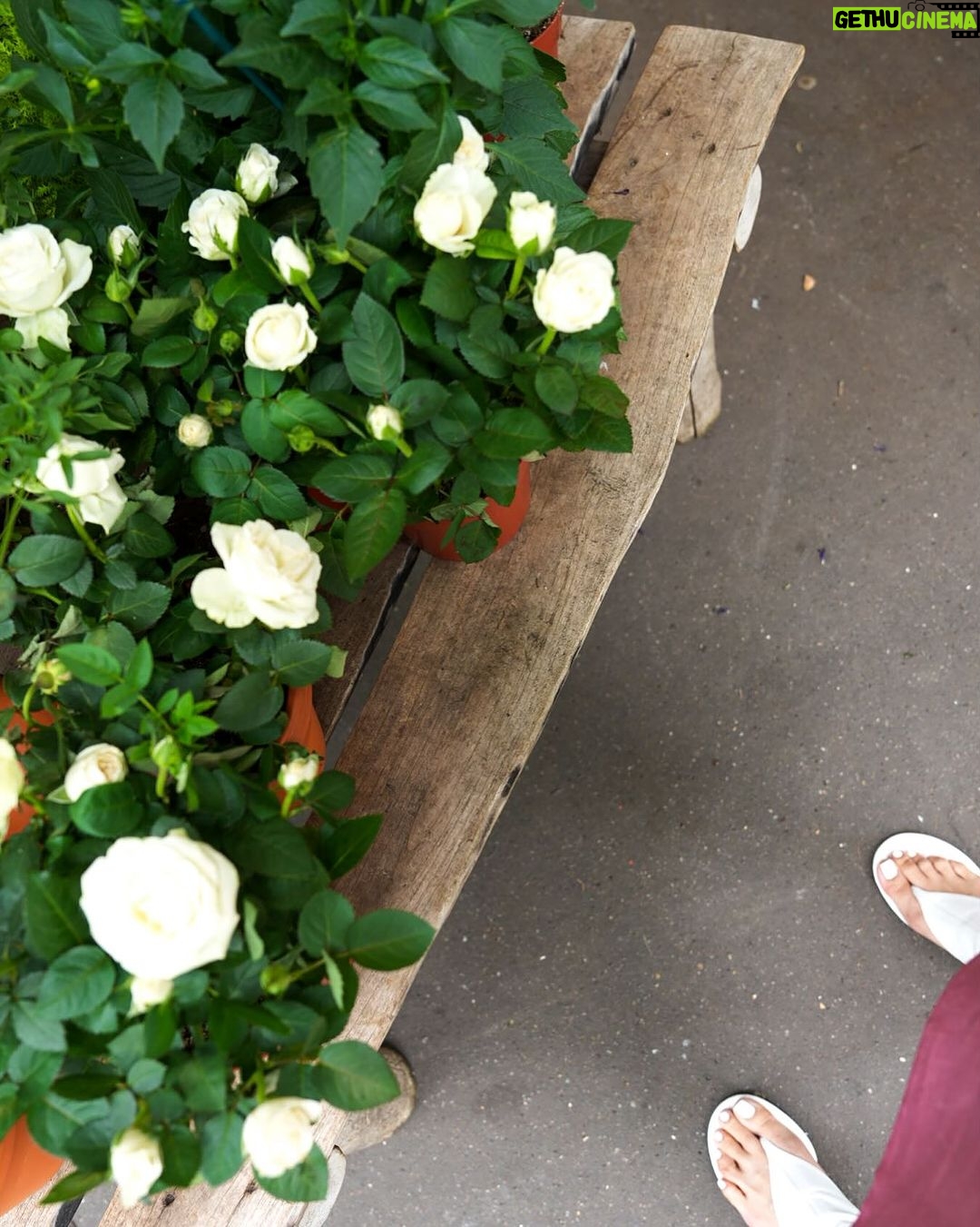 Heart Evangelista Instagram - Finding beauty everywhere ππ€π«Άπ» Paris, France