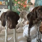 Heidi Klum Instagram - Jäger & Uschi …. und Tom 🥰❤️❤️