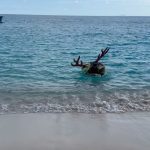 Heidi Klum Instagram - I could do this all day 🤪😎🫎☀️💦 ……