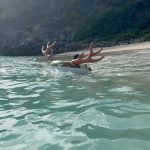 Heidi Klum Instagram - 🫎😎🥰