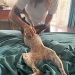 Heidi Klum Instagram - 😊❤️