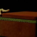 Hengame Ghaziani Instagram – زندكي دوگانه ورونيكا 
اثر : كيشلوفسكي
موسيقي: پرايزنر
