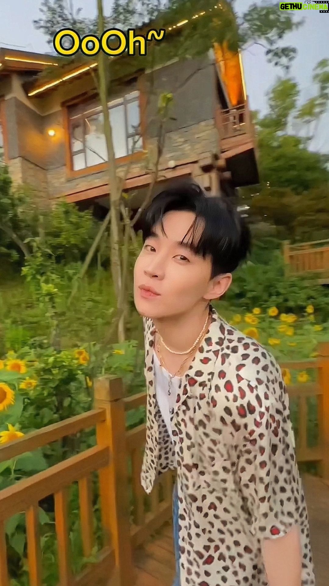 Henry Lau Instagram - Welcome to the sunny side🌻#SummerSkyChallenge #SummerSky