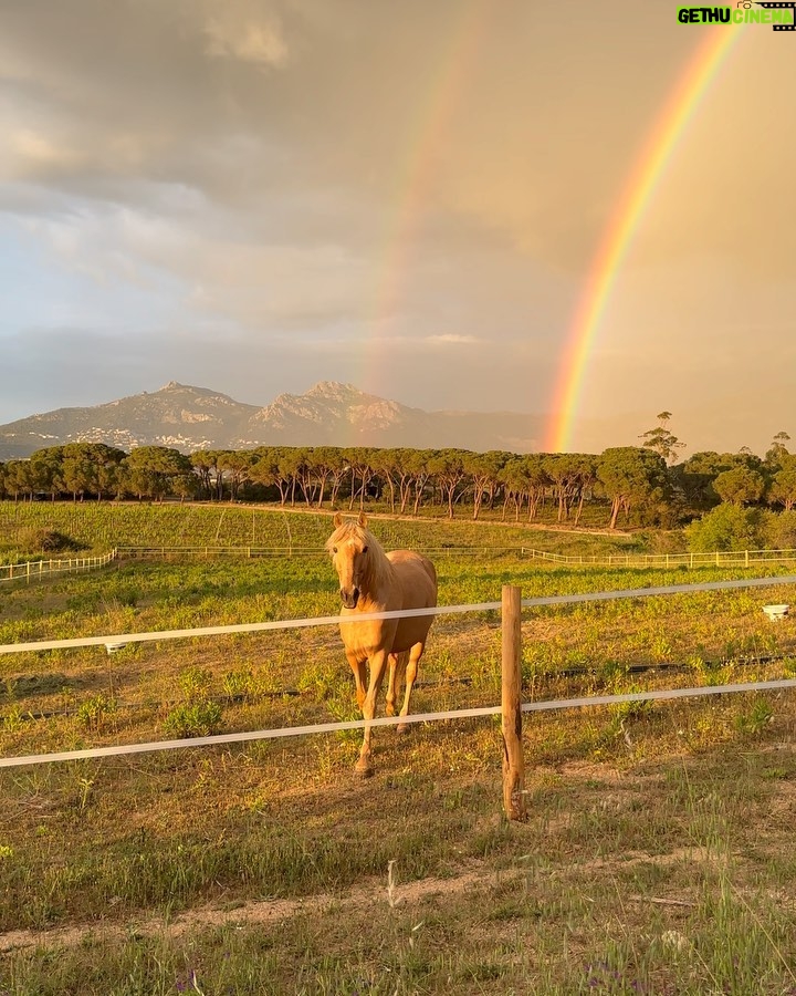 Hilona Gos Instagram - Photo totalement improvisée sûrement pas Instagramable mais je m’en fou trop de joie en voyant apparaître cette arc en ciel 🌈 dans mon jardin avec merlin mon cheval en premier plan, mes chiens à mes côtés, je crois que c’est ce genre de moment qui me fait me dire que finalement tout ira pour le mieux ♥️🥹