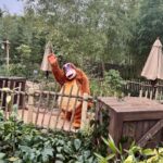 Hilona Gos Instagram – Disney, un de mes endroits préférés encore quelque jour incroyable c’était magique et féerique! Trop hâte d’y retourner (oui je crois que je vais y passer pas mal de temps j’en suis trop fan ) et vous vous avez eu la chance de pouvoir y aller? Moi j’ai dû attendre 26 ans… mais ça valait le coup! Disneyland Paris