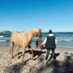 Hilona Gos Instagram – Merlin est enfin arrivé en corse! Il découvre la nature sauvage, et je crois que ça lui plait. Il a vue la mer pour la première fois et il a été super courageux Je suis remplis de joie qu’il sois près de moi et notre complicité et notre amour ne fait que grandir! 2022 commence très bien. Et vous? Votre début d’année? 💖🤍 Calvi, Haute-Corse