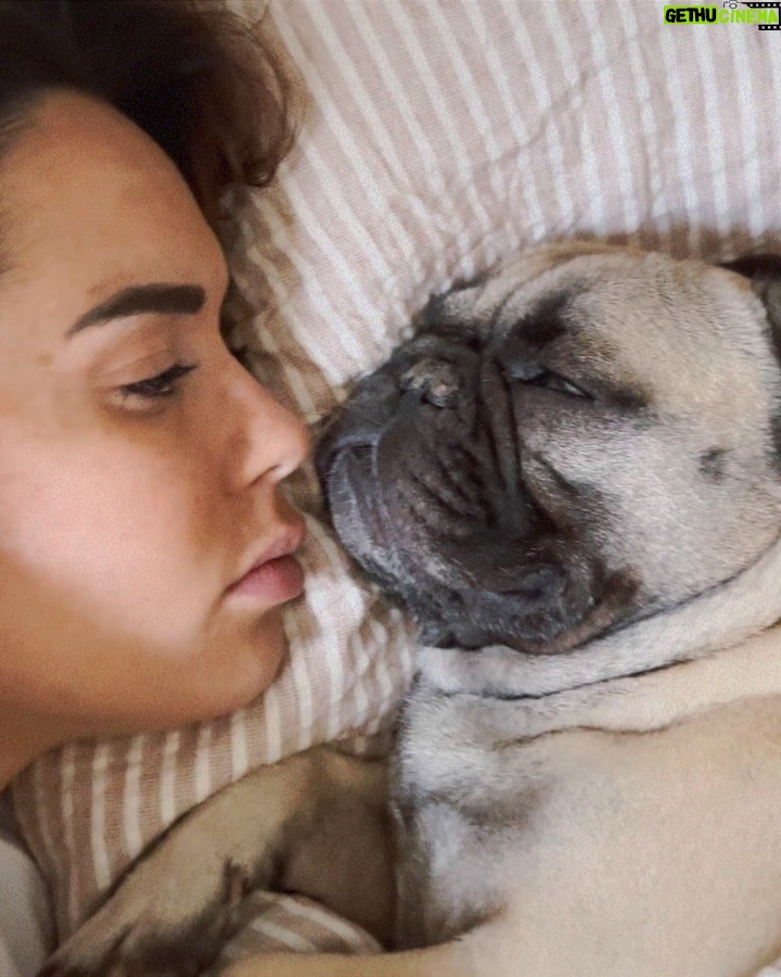 Hilona Gos Instagram - Unposted du mois 1- Romy et sa maman dans le lit, 90% de mon temps actuellement 2- Paulo qui essaie de me détendre avec sa passion jazz 3- Asperges corses qui ont fini en brouillade 💚 4- Il en marre de moi, j’aime trop l’embêter quand il dort parce que je m’ennuie 5- « Face à la mer » t’as la ref ? 😂 6- toujours Romy la ronfleuse et sa maman, qui du coup ne dort pas 7- Ma passion de femme enceinte : manger des babybel 8- Quel bonheur davoir mon Merlin dans mon jardin 9- Encore moi qui mange, j’aime trop maaanger Si j’avais du choisir une vie, c’est exactement celle là que j’aurais choisie. Je vous aime ma famille @paulandre.a26 merci pour le paradis 🥹❤️