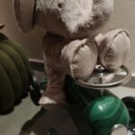 Hilona Gos Instagram - Voilà quelques photos d’un dimanche à la maison 🤍 Je vous laisse découvrir l’organisation de la dernière 😂