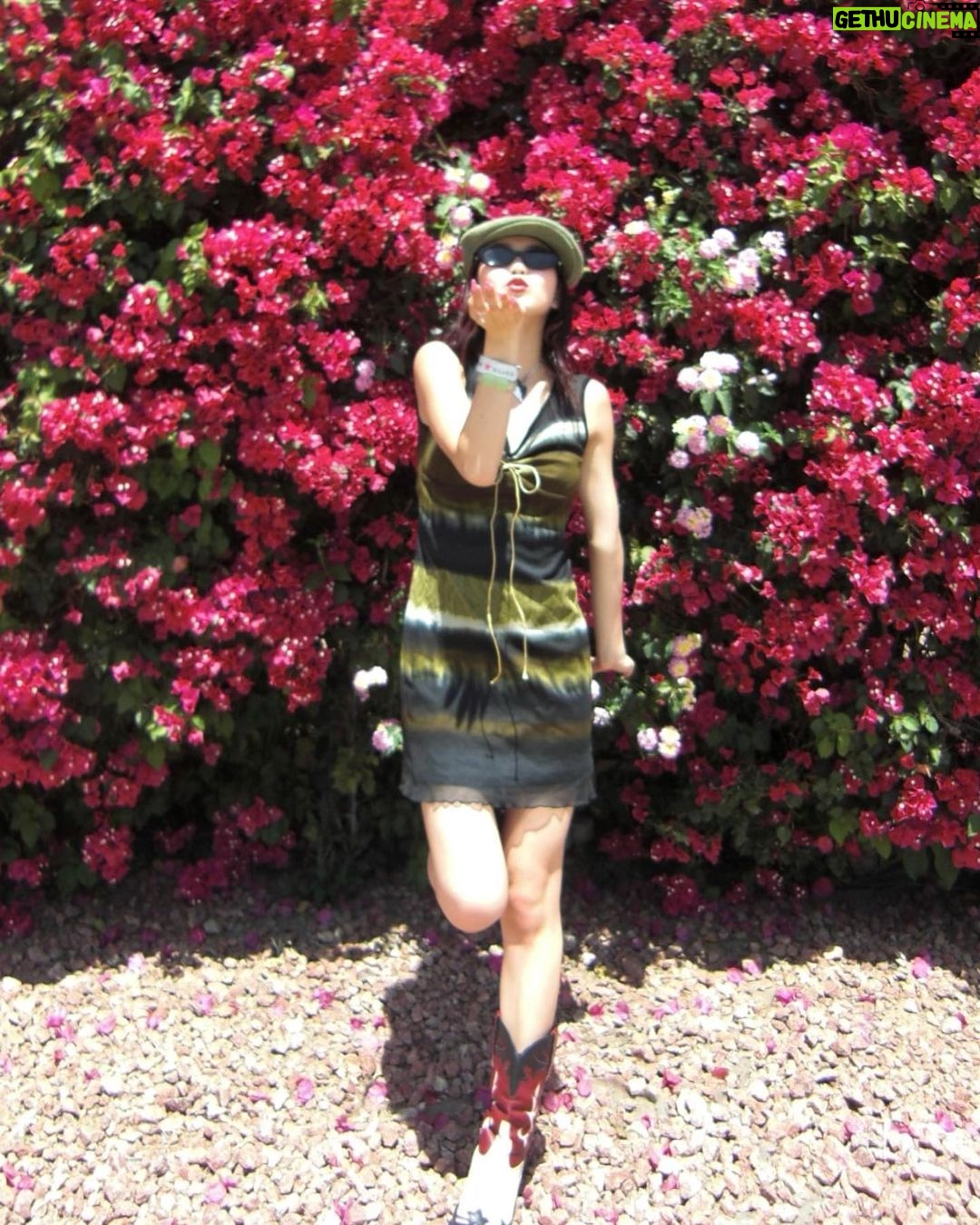 Hina Yoshihara Instagram - Coachellaaaaaaarrrrrrr Coachella, California
