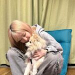 Hitomi Honda Instagram - . ご挨拶が遅くなってしまいましたが 2024年もよろしくお願いいたします。 お正月は実家に帰省しました。 母の手作り御節は今年もとても美味しかったです☺︎ ひさしぶりにぽめにも会えました。 1日でも早く、多くの皆さまが 平穏な毎日が過ごせますように。