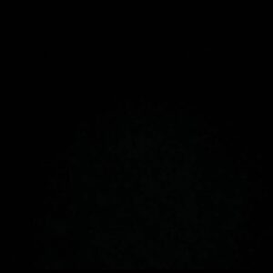 Homayoun Shajarian Instagram - .
خاک پای مردم ایران به دیار معشوق پرواز کرد
