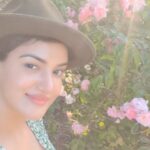 Honey Rose Instagram - Rose with roses ♥️ Ireland