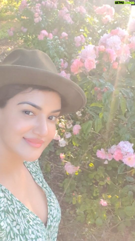 Honey Rose Instagram - Rose with roses ♥️ Ireland