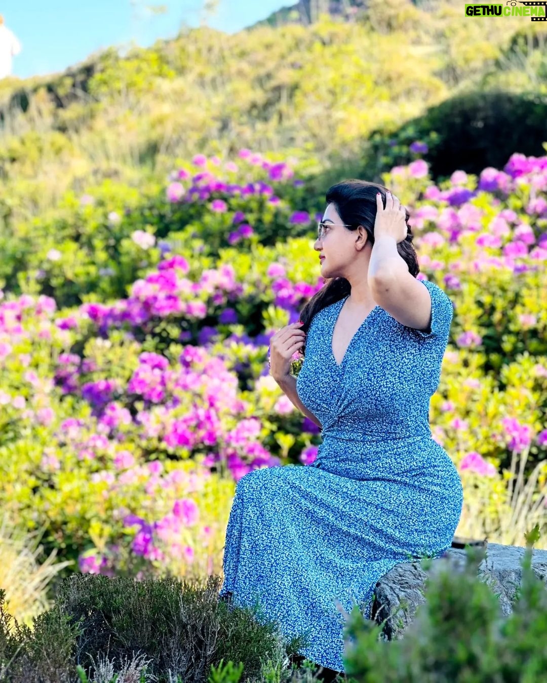 Honey Rose Instagram - Breathtaking view! Real heaven on Earth... Visited The Vee Pass, Knockmealdown mountains,Co.Tipperary IRELAND with family and friends...@rens7777 @bakemeacakeclonmel Photography Manu Joseph @mj_manu82