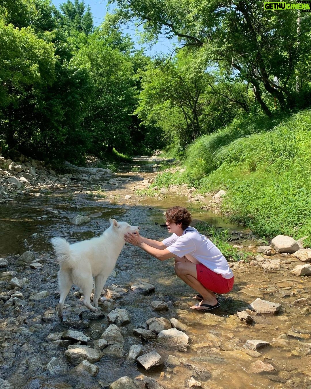 Hong Jong-hyun - 102.4K Likes - 여름이다.