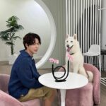 Hong Jong-hyun Instagram - 진이보고가세요🐶