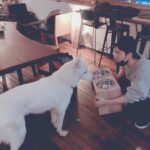 Hong Jong-hyun Instagram - 이건 진이꺼🐶 #나만신난거같다. #삼옥