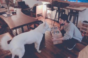 Hong Jong-hyun Instagram - 이건 진이꺼🐶 #나만신난거같다. #삼옥