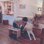 Hong Jong-hyun Instagram - 이건 진이꺼🐶 #나만신난거같다. #삼옥