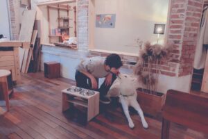 Hong Jong-hyun Instagram - 이건 진이꺼🐶 #나만신난거같다. #삼옥