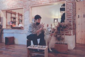 Hong Jong-hyun Instagram - 이건 진이꺼🐶 #나만신난거같다. #삼옥