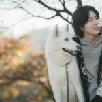 Hong Jong-hyun Instagram - 홍진 최고💙
