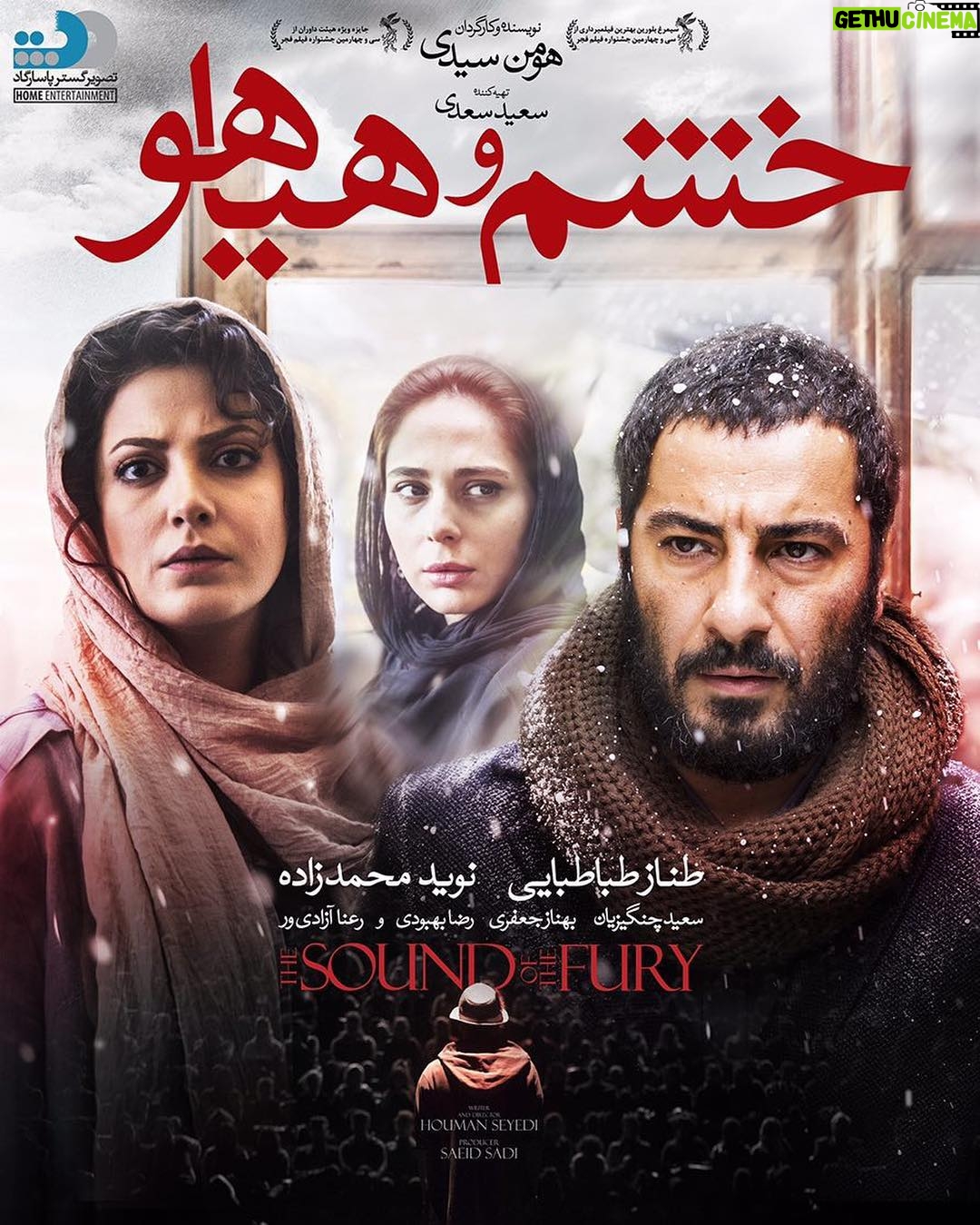 Houman Seyyedi Instagram - خشم و هياهو از ١٧ آبان در شبكه خانگي