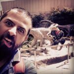 Houman Seyyedi Instagram - 🈴🈲🉐🈹🈺🈶🈚️🈵🈳🈯️㊙️㊗️🈸🈂🈷برگردم ديگه همين يه ذره مغزمم از بين رفته از دست اينها😫هيچي نميفهممممممممم