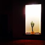 Houman Seyyedi Instagram - New home