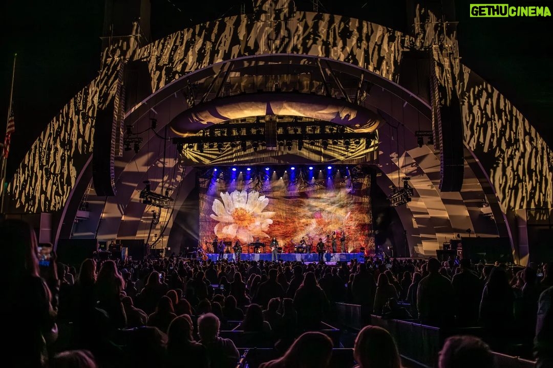 Hozier Instagram - Los Angeles, I don’t really have the words. Thank you for all the love and support I felt at the @hollywoodbowl, performing to you in that space was a dream and the sweetest way to end this US run. Thank you to the incredible @madicunningham for being with us these months and lighting the tour with her sheer brilliance. Thank you to anyone who bought a ticket to one of these shows over the past eight weeks. 📸 @RuthlessImagery Hollywood Bowl, Los Angeles, Ca