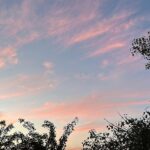 Huda ElMufti Instagram - 🌸🙏🏾🌸