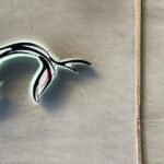 Huda ElMufti Instagram – Fish & Flowers 🐠🌹 Athens, Greece