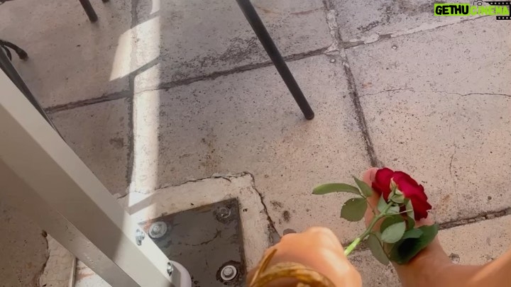 Huda ElMufti Instagram - Fish & Flowers 🐠🌹 Athens, Greece