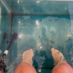 Huda ElMufti Instagram – Fish & Flowers 🐠🌹 Athens, Greece