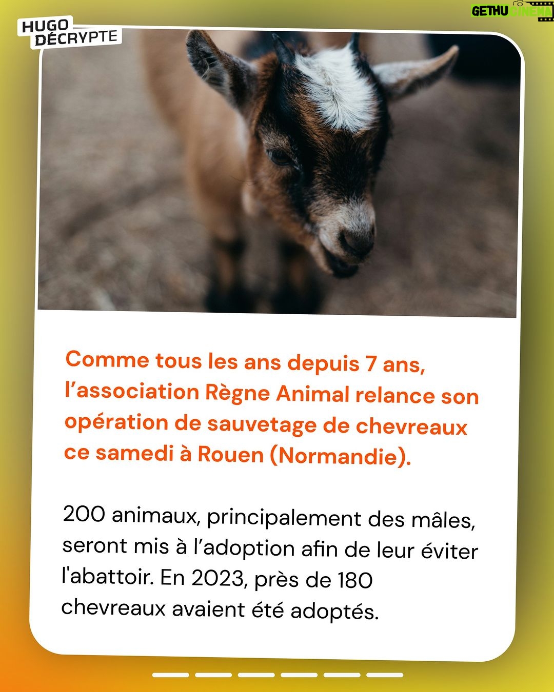 Hugo Travers Instagram - 🤗 Les 5 bonnes nouvelles de la semaine ! 🤗 . SHOUTOUT à @bonifocaccia_ et @axlcho_quart pour leur participation au débat ! . Toutes les semaines, on met en avant deux participants du débat. Pour participer : like + débat en commentaire. . Faut-il autoriser des pilules contraceptives sans ordonnance en France ? 🤔 . Commentez oui/non/sans opinion, suivi de vos éventuels arguments, résultats la semaine prochaine ! . SOURCES actu 1 : 20 Minutes, Franceinfo, Nice-Matin actu 2 : Libération, La Croix, France Bleu actu 3 : BFM, Actu.fr, Franceinfo actu 4 : Ouest-France, BFM actu 5 : Actu.fr, BFM, France 3 Régions