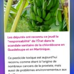Hugo Travers Instagram – 🚨 En 1 minute, votre résumé de l’actualité du jour 🚨
.
📧 Pour suivre la newsletter : https://hugodecry.pt/newsletter
.
🍿 Pour suivre l’actu culture : @hugodecrypte.pop
.
🏋️ Pour suivre l’actu sport : @hugodecrypte.sport
.
SHOUTOUT à @le_traminot-nanceien et @gaspard_nk pour leur participation au débat !
.
Tous les jours, on met en avant deux participants du débat. Pour participer : like + débat En commentaire.
.

L’État doit-il plus limiter l’usage des pesticides en France ? 🧐
.
Commentez oui/non/sans opinion suivie de vos éventuels arguments, résultats dans l’édition de demain !
.

Couverture : ©ayanakamura_officiel

Actu 1 : © Abaca I Le Monde, Challenges, 20 Minutes 
Actu 2 : © Abaca I TF1 Info, BFMTV, Le Parisien 
Actu 3 : © Abaca I Ouest-France, BFMTV
Actu 4 : Ouest-France, Libération
Actu 5 : ©ayanakamura_officiel I Franceinfo, L’Express, 20 Minutes