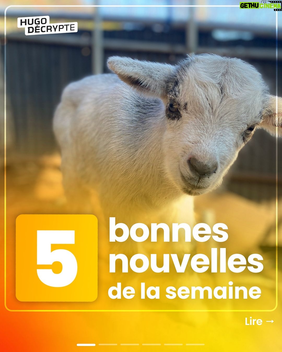 Hugo Travers Instagram - 🤗 Les 5 bonnes nouvelles de la semaine ! 🤗 . SHOUTOUT à @bonifocaccia_ et @axlcho_quart pour leur participation au débat ! . Toutes les semaines, on met en avant deux participants du débat. Pour participer : like + débat en commentaire. . Faut-il autoriser des pilules contraceptives sans ordonnance en France ? 🤔 . Commentez oui/non/sans opinion, suivi de vos éventuels arguments, résultats la semaine prochaine ! . SOURCES actu 1 : 20 Minutes, Franceinfo, Nice-Matin actu 2 : Libération, La Croix, France Bleu actu 3 : BFM, Actu.fr, Franceinfo actu 4 : Ouest-France, BFM actu 5 : Actu.fr, BFM, France 3 Régions