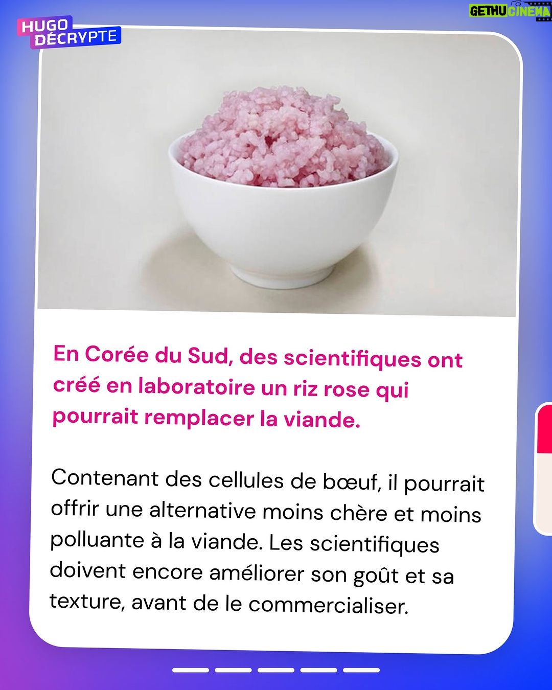 Hugo Travers Instagram - 🚨 En 1 minute, votre résumé de l’actualité du jour 🚨 . 📧 Pour suivre la newsletter : https://hugodecry.pt/newsletter . 🍿 Pour suivre l’actu culture : @hugodecrypte.pop . 🏋️ Pour suivre l’actu sport : @hugodecrypte.sport . SHOUTOUT à @o_o3105 et @razz_ya pour leur participation au débat ! . Tous les jours, on met en avant deux participants du débat. Pour participer : like + débat En commentaire. . Seriez-vous prêt à arrêter de consommer de la viande ? 🧐 . Commentez oui/non/sans opinion suivie de vos éventuels arguments, résultats dans l’édition de demain ! . Cover : ©Abaca Actu 1 : ©Abaca | France Info, l’Express, RFI Actu 2 : Ouest France, Météo-France, Actu.fr Actu 3 : ©Abaca I Le Monde, RFI, Le Figaro Actu 4 : ©Abaca I Le Parisien, La Provence, France 3 Actu 5 : ©Yonsei University I Libération, 20 Minutes, BFM