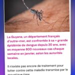 Hugo Travers Instagram – 🚨 En 1 minute, votre résumé de l’actualité du jour 🚨
.
📧 Pour suivre la newsletter : https://hugodecry.pt/newsletter
.
🍿 Pour suivre l’actu culture : @hugodecrypte.pop
.
🏋️ Pour suivre l’actu sport : @hugodecrypte.sport
.
SHOUTOUT à @magc.merel et @guiguiprrr pour leur participation au débat !
.
Tous les jours, on met en avant deux participants du débat. Pour participer : like + débat En commentaire.
.

 La France est-elle assez protégée contre les ingérences numériques étrangères ? 🧐
.
Commentez oui/non/sans opinion suivie de vos éventuels arguments, résultats dans l’édition de demain !
.

Couverture I ©Abaca 

Actu 1 : ©Abaca I TF1 Infos, Le Monde
Actu 2 : ©Abaca I Ouest-France, LCP Assemblée nationale 
Actu 3 : ©Abaca I Franceinfo 
Actu 4 : ©Abaca I Franceinfo
Actu 5 : ©Abaca I CNN