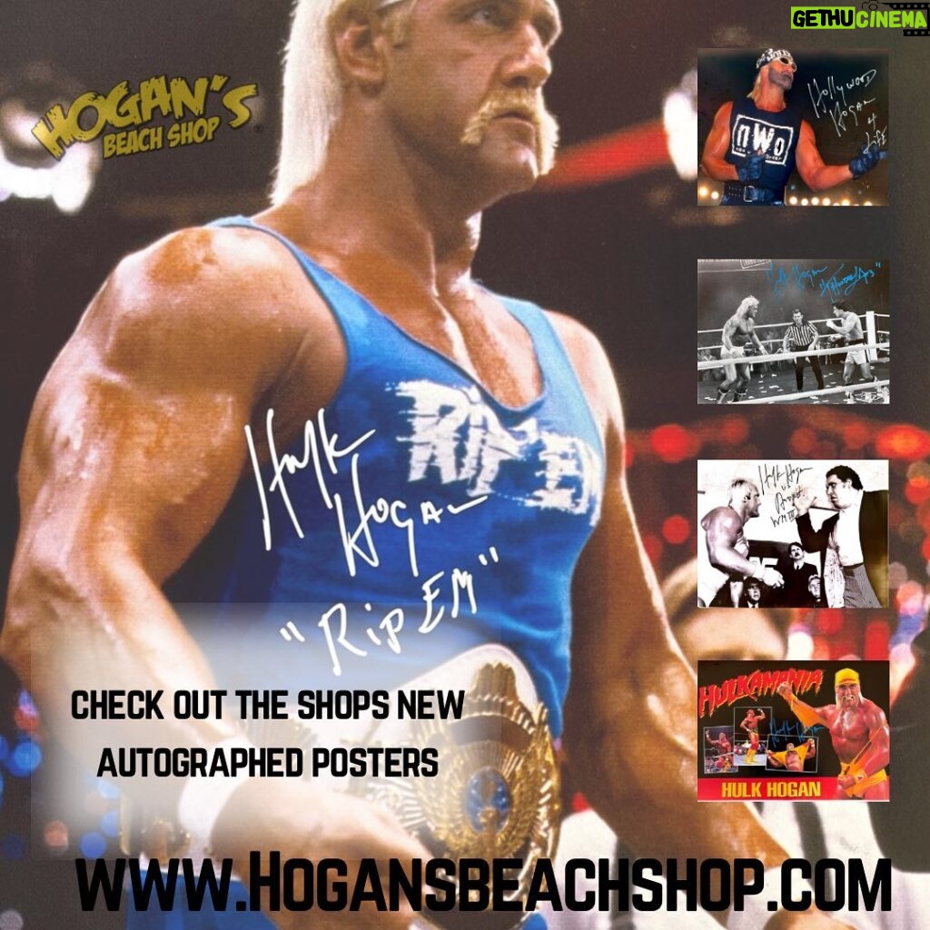 Hulk Hogan Instagram - Check out @hogansbeachshop Updated Autographed Poster Sections on our Website… 🌐Link: https://hogansbeachshop.com/collections/autographed-poster Hulk Hogan’s Wrestling Shop