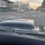 Hulk Hogan Instagram - Takin the runner out for a stroll!!!